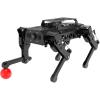 PuppyPi ROS2 Robot Dog with ChatGPT Large AI Models AI Embodied Intelligence Robotic Dog Vision Scene Voice Command Understanding Bionic Quadruped ROS Education Robot, Standard & RaspberryPi5 8GB(Advanced Kit  RPi 5 8GB)